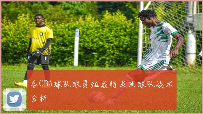 各CBA球队球员组成特点及球队战术分析