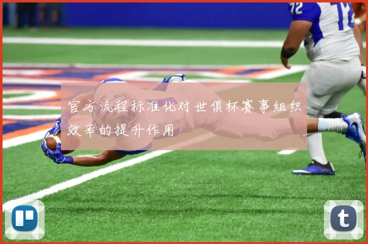 官方流程标准化对世俱杯赛事组织效率的提升作用