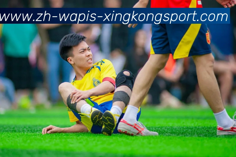 星空体育发展历程