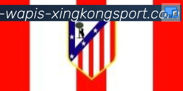 星空体育app合作伙伴